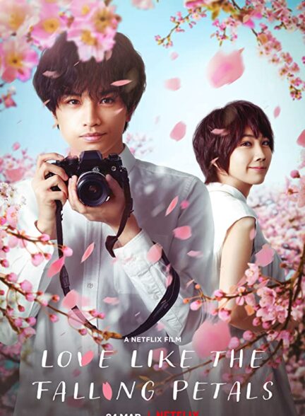 دانلود فیلم عشقی مانند سقوط گلبرگ ها Love Like the Falling Petals