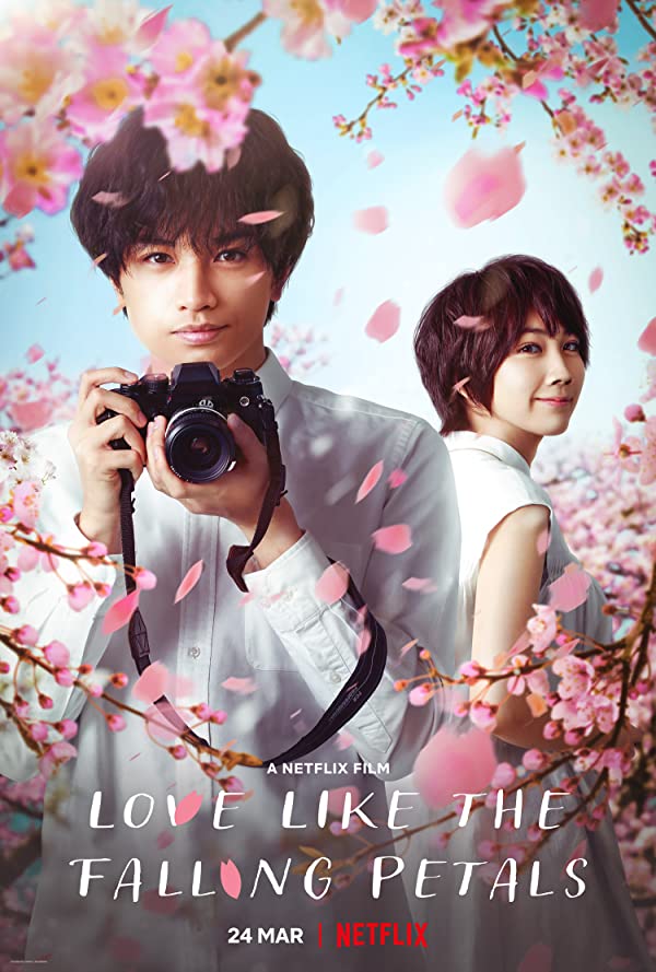 دانلود فیلم عشقی مانند سقوط گلبرگ ها Love Like the Falling Petals