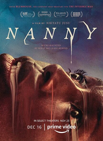 دانلود فیلم  پرستار بچه  Nanny