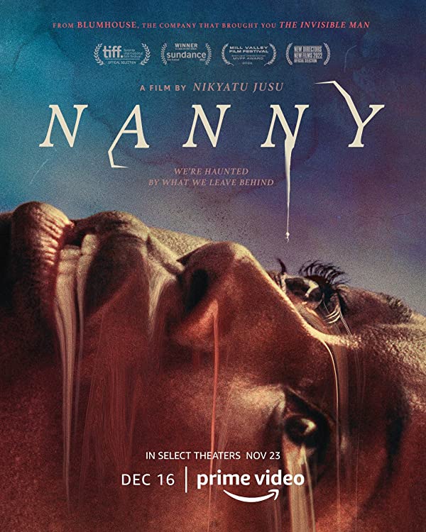 دانلود فیلم  پرستار بچه  Nanny