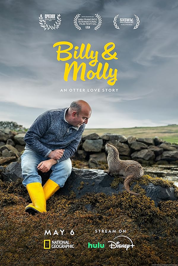 دانلود مستند بیلی و مولی داستان عشق سمور 2024 Billy & Molly: An Otter Love Story