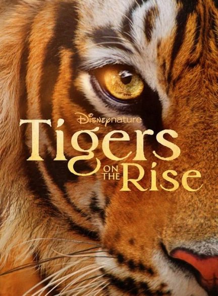 دانلود مستند فیلم ببرهای در حال ظهور 2024 Tigers on the Rise