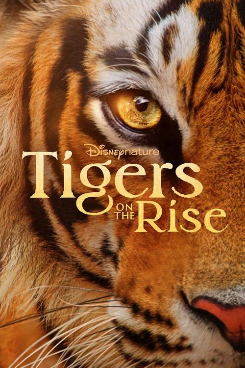 دانلود مستند فیلم ببرهای در حال ظهور 2024 Tigers on the Rise