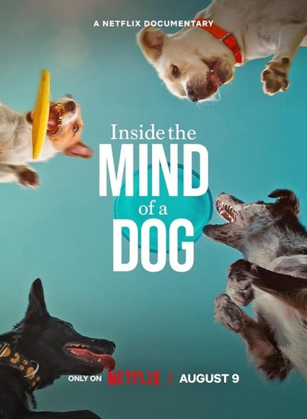 دانلود مستند فیلم درون ذهن یک سگ 2024 Inside the Mind of a Dog