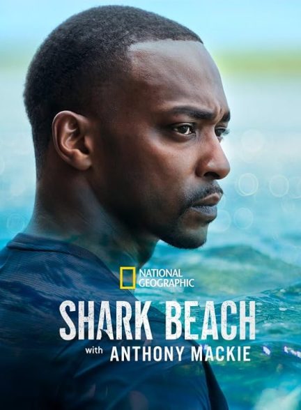 دانلود مستند فیلم ساحل کوسه با آنتونی مکی – دوبله فارسی 2024 Shark Beach with Anthony Mackie