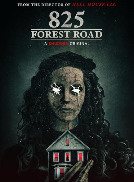 دانلود فیلم جاده جنگلی 825 -2025- 825 Forest Road